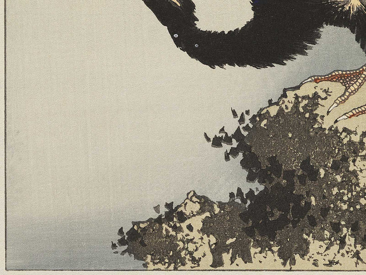 A cormorant stands resolute at the head of a rock by the sea by Katsushika Hokusai, (Medium print size) / BJ321-818
