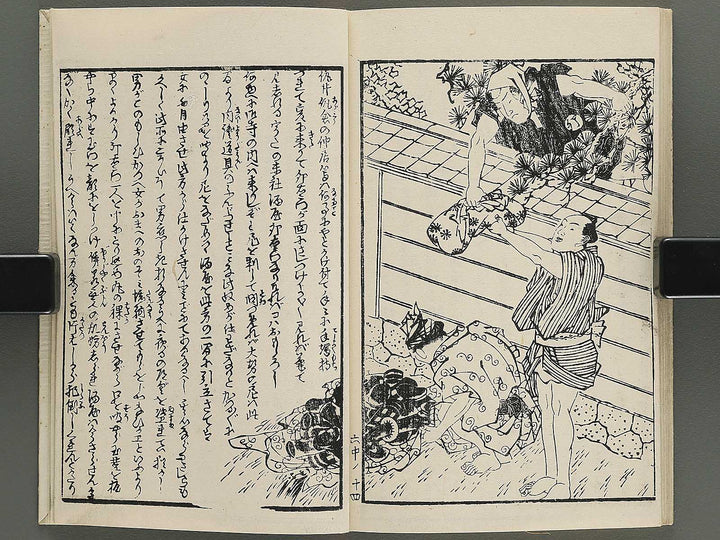 Insho kaiko ki Volume 6, (Chu) by Utagawa Yoshikazu / BJ345-786