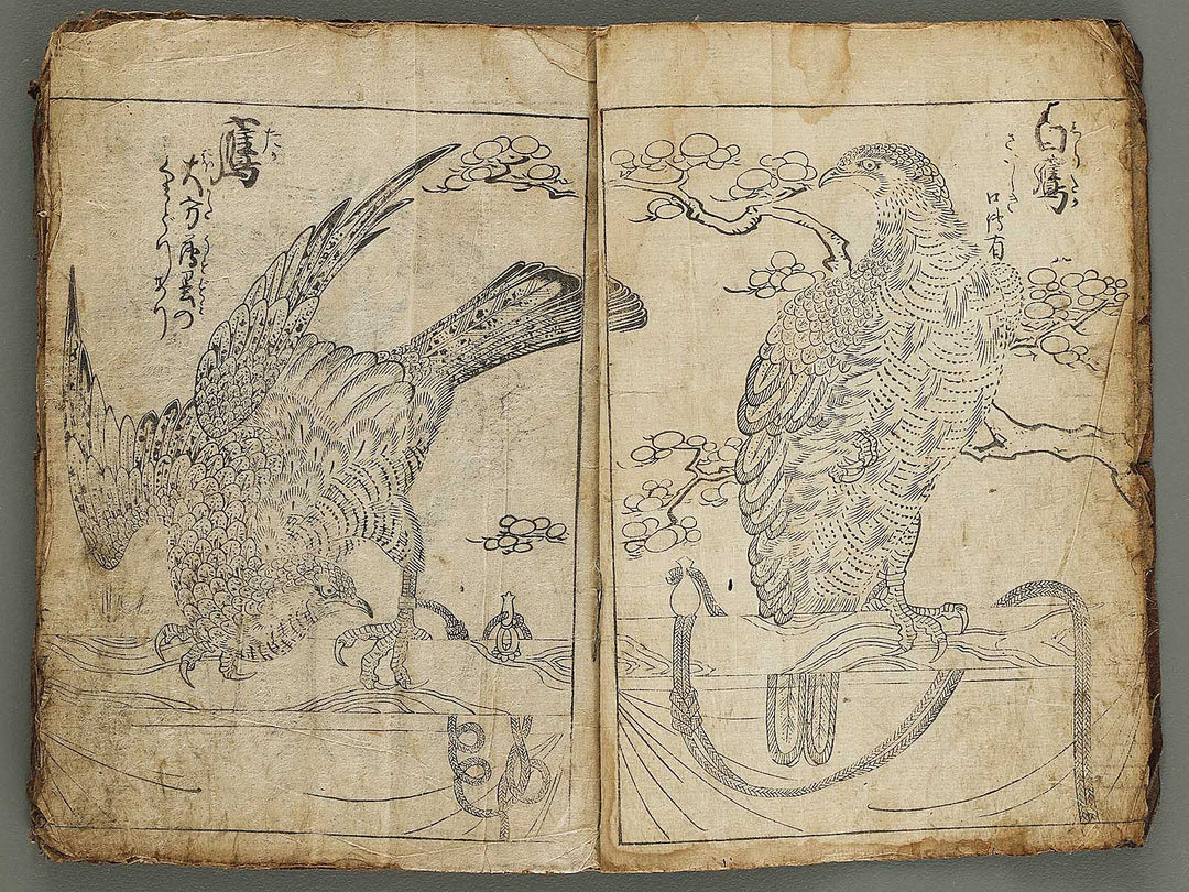 Etehon (Title Unknown)  / BJ337-561