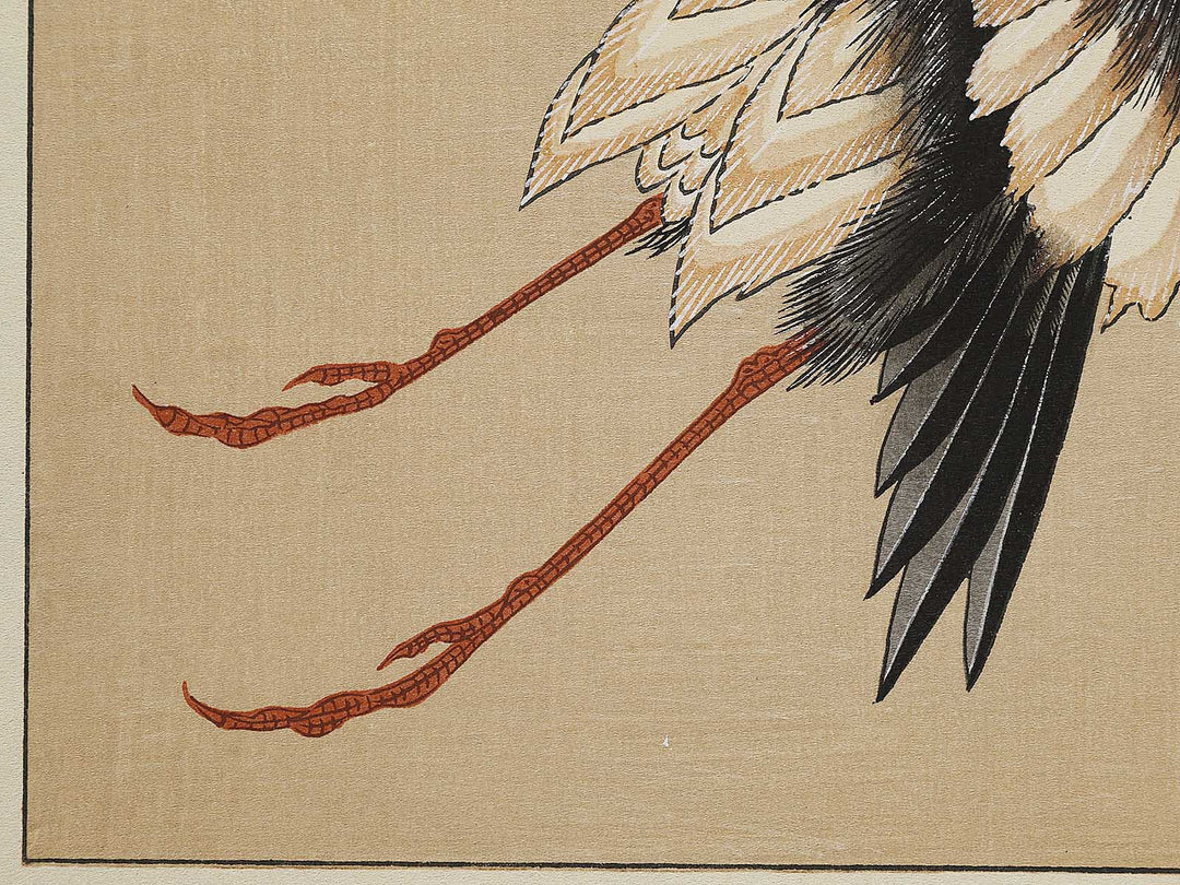 Konotori by Katsushika Hokusai, (Medium print size) / BJ324-975
