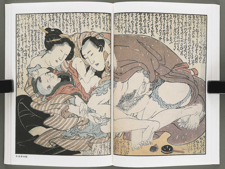 Ezoshi Konoe no komatsu Volume 3 by Katsushika Hokusai / BJ346-437