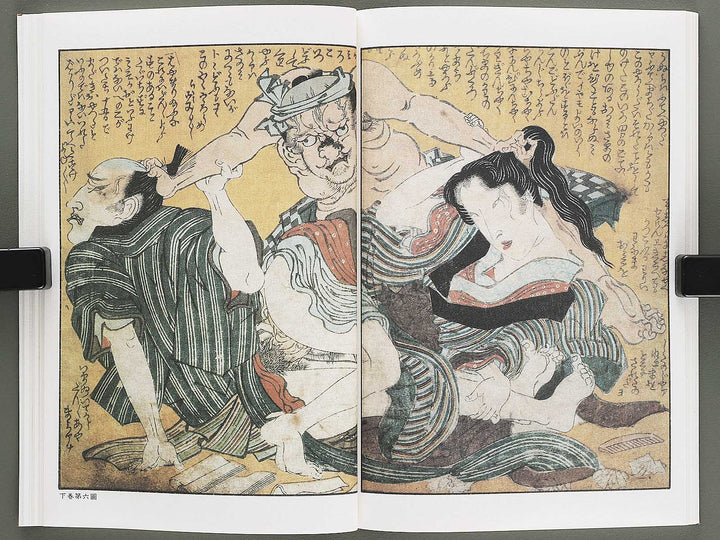 Ezoshi Fuji no yuki Volume 10 by Keisai Eisen / BJ346-472