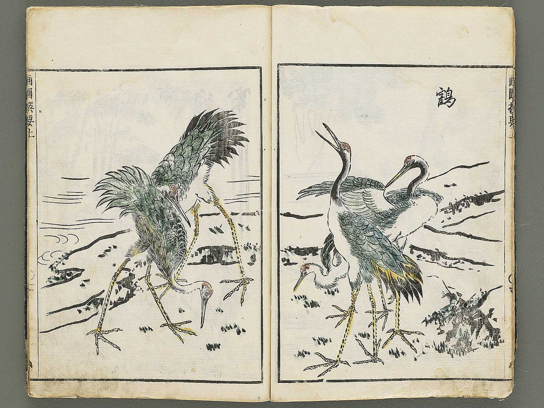 Gazu senyo (Jo) by Gyokusuisai Yoshikane / BJ354-249