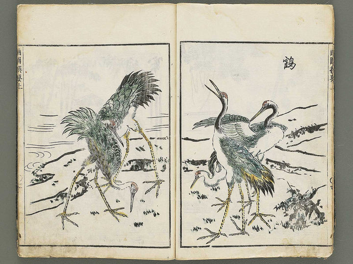 Gazu senyo (Jo) by Gyokusuisai Yoshikane / BJ354-249