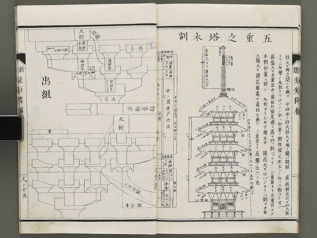 Shinsen kiku kaitei (Jin) (Part 3 of 3) / BJ333-228