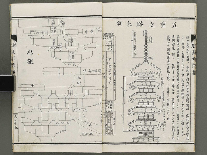 Shinsen kiku kaitei (Jin) (Part 3 of 3) / BJ333-228