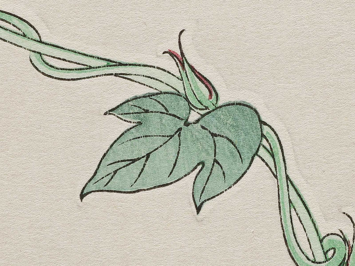 Asagao by Kawarazaki Shodo, (Large print size) / BJ331-338