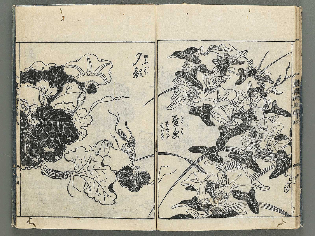 Gahon noyama gusa Volume 4 / BJ346-332