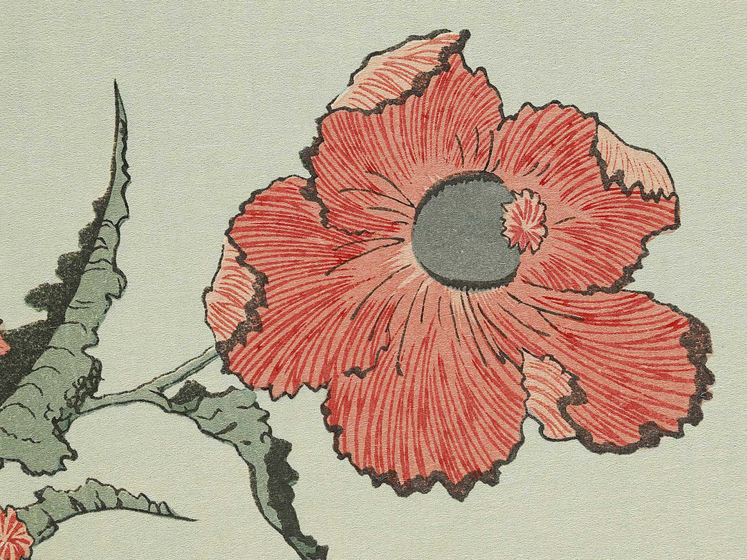 A poppy by Katsushika Hokusai, (Medium print size) / BJ327-334