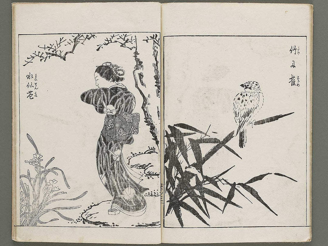 Gazu hyakuchin  / BJ334-600