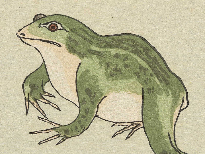Frog and Gold Beetle from the series Gahon mushierami by Kitagawa Utamaro, (Large print size) / BJ355-292