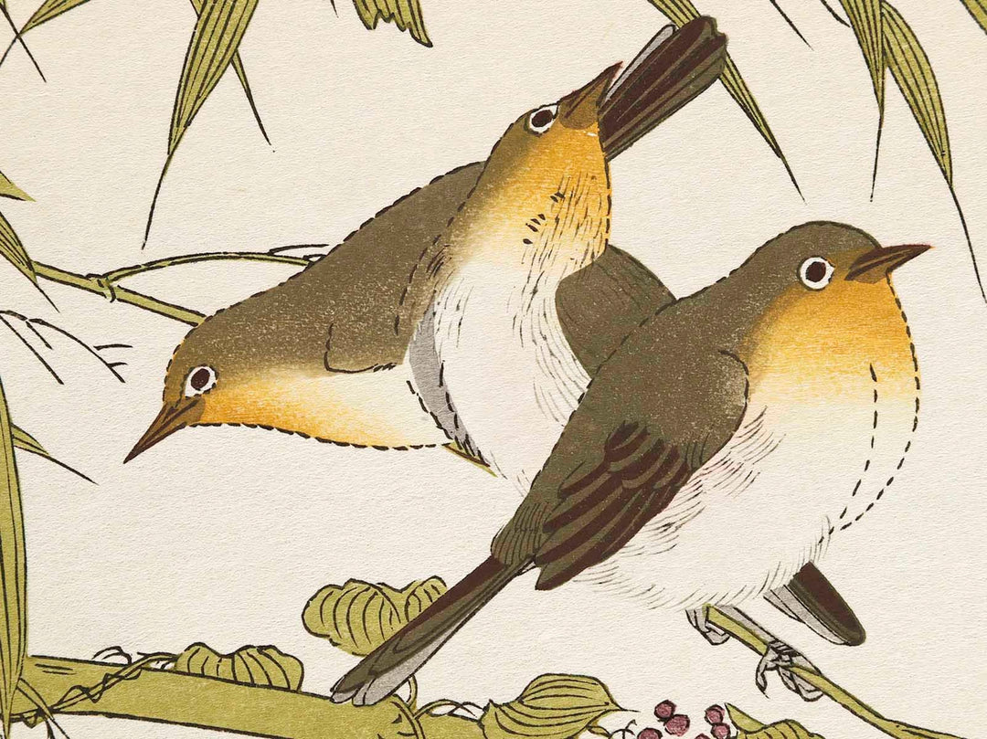 Long tailed Tit and White-eyes from the series Momochidori kyokaawase by Kitagawa Utamaro, (Large print size) / BJ328-006