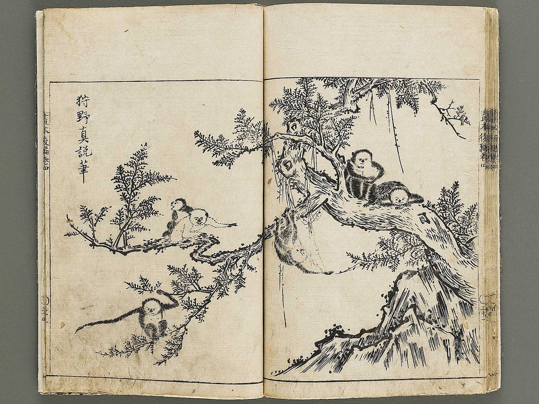 Wakan meigaen Volume 4 by Ooka Shunboku / BJ330-694