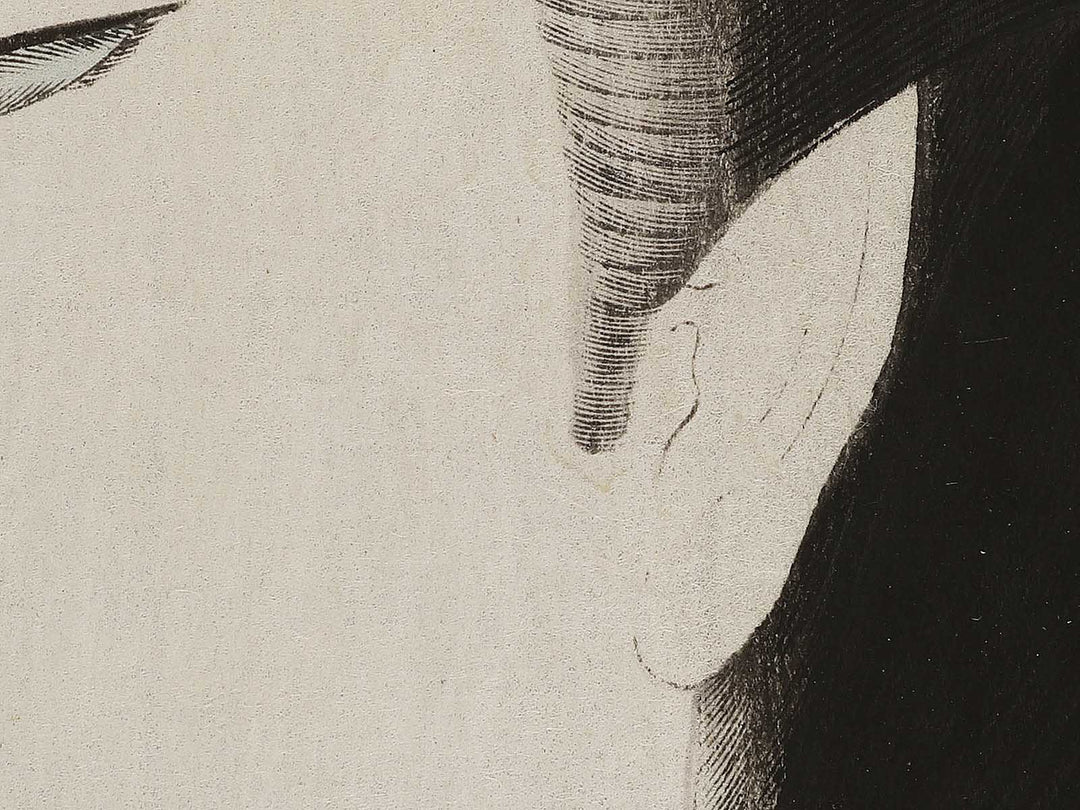 Meiji  from the series Jidai kagami by Yoshu Chikanobu / BJ329-434