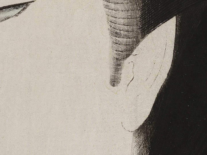 Meiji  from the series Jidai kagami by Yoshu Chikanobu / BJ329-434