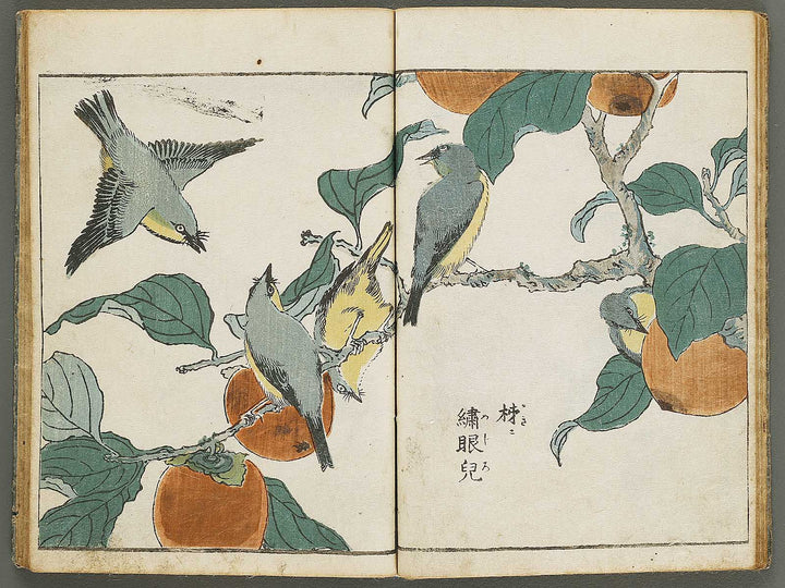 Kacho shashin zui by Kitao Shigemasa / BJ339-115