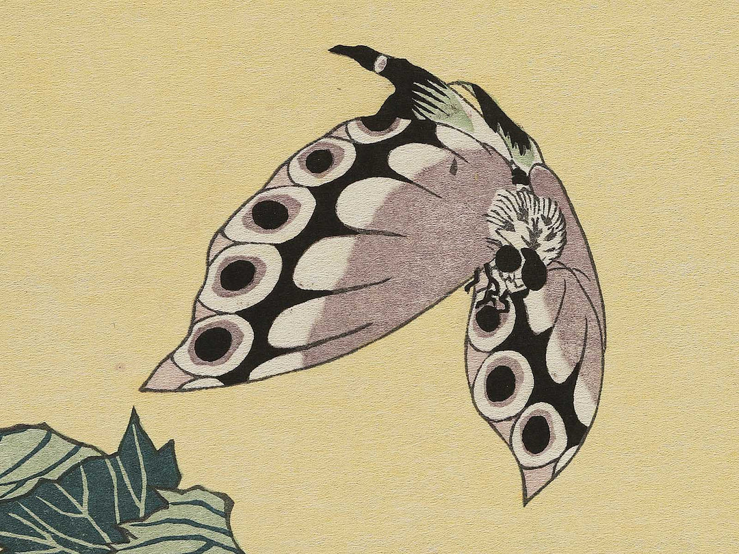 Botan ni cho by Katsushika Hokusai, (Large print size) / BJ343-777