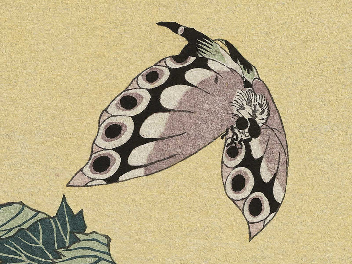 Botan ni cho by Katsushika Hokusai, (Large print size) / BJ343-777