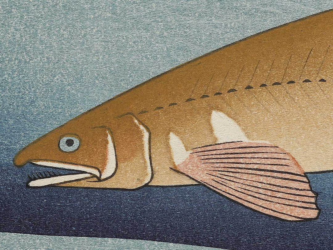 Ayu from the series the series FISH by Utagawa Hiroshige, (Large print size) / BJ324-821