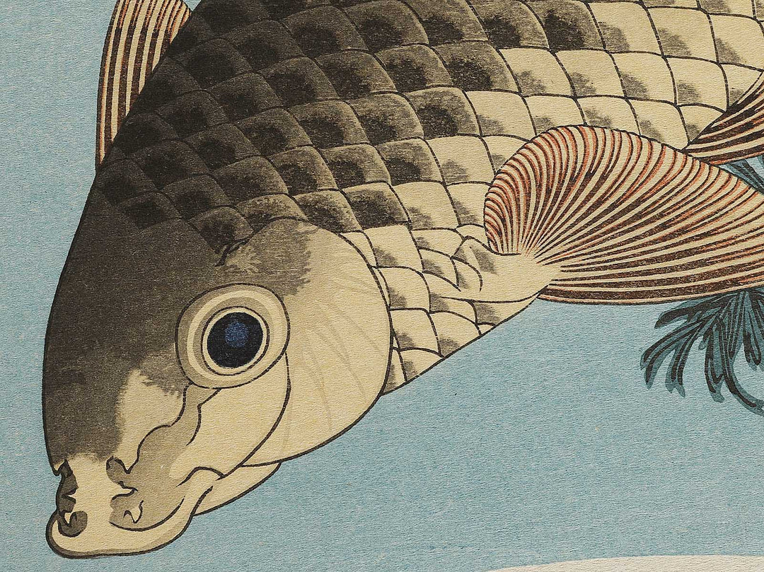Koi by Katsushika Hokusai, (Large print size) / BJ337-603