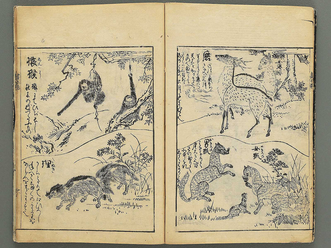 Ehon shoshin hashiradate (Ge) by Tachibana Morikuni / BJ348-649