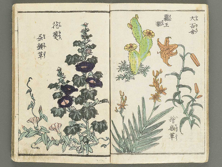 Soka e tehon by Keisai Eisen / BJ348-040