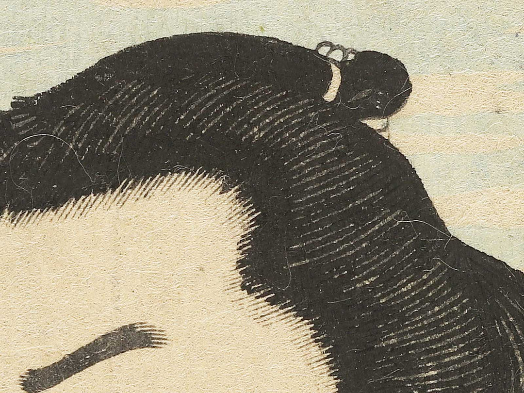 Tokyo Kashiwado Sogoro by Hachisuka Kuniaki / BJ351-841