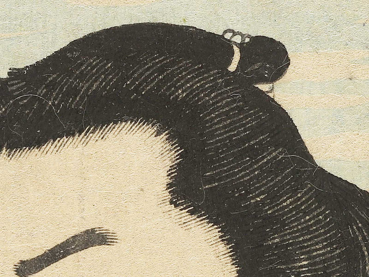 Tokyo Kashiwado Sogoro by Hachisuka Kuniaki / BJ351-841