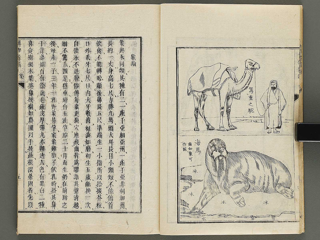 Hakubutsu Shinpen Volume 3 / BJ336-476