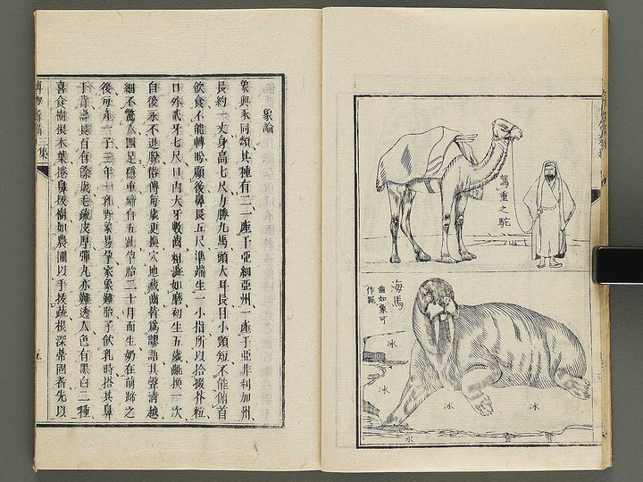 Hakubutsu Shinpen Volume 3 / BJ336-476