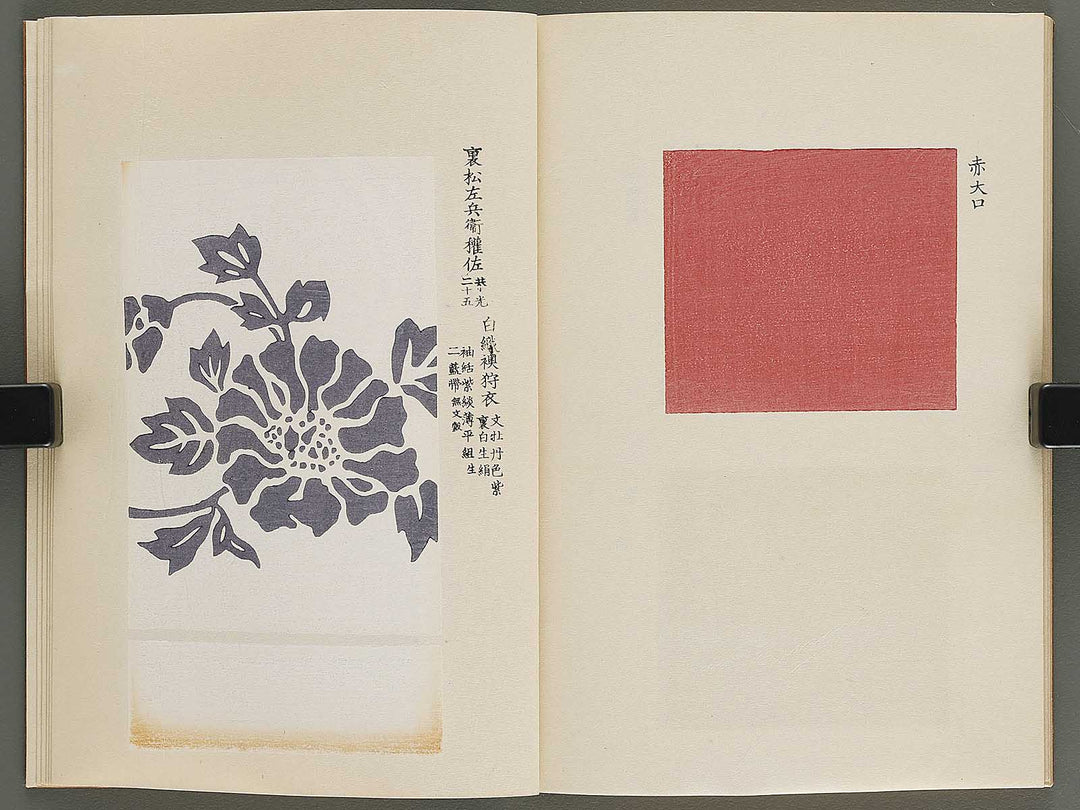 Kojitsu sosho shokumon zue Miyukibu kohen / BJ339-962