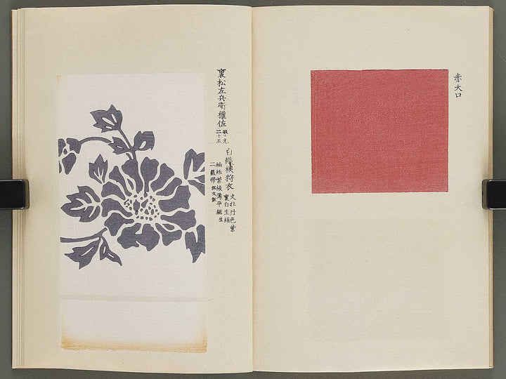 Kojitsu sosho shokumon zue Miyukibu kohen / BJ339-962