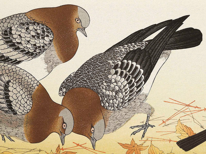 A flock of sparrows and Dove from the series Momochidori kyokaawase by Kitagawa Utamaro, (Large print size) / BJ328-055
