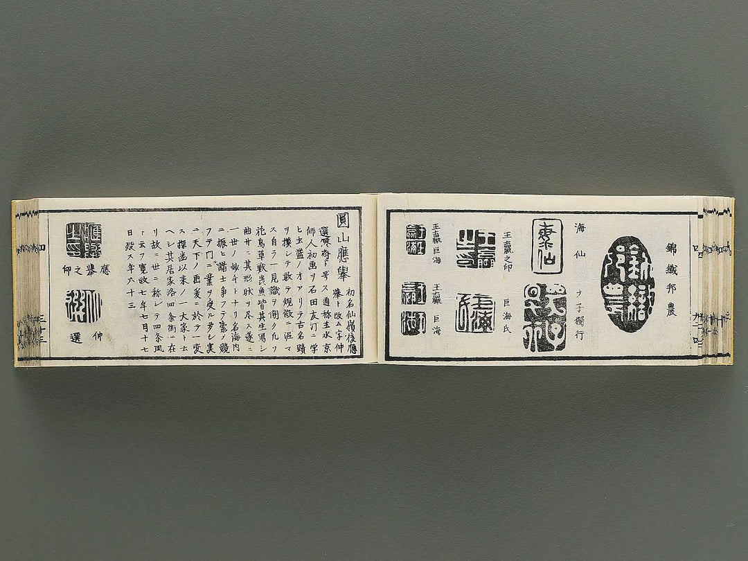 Shoga hikkei meika zensho Volume 4 / BJ348-621