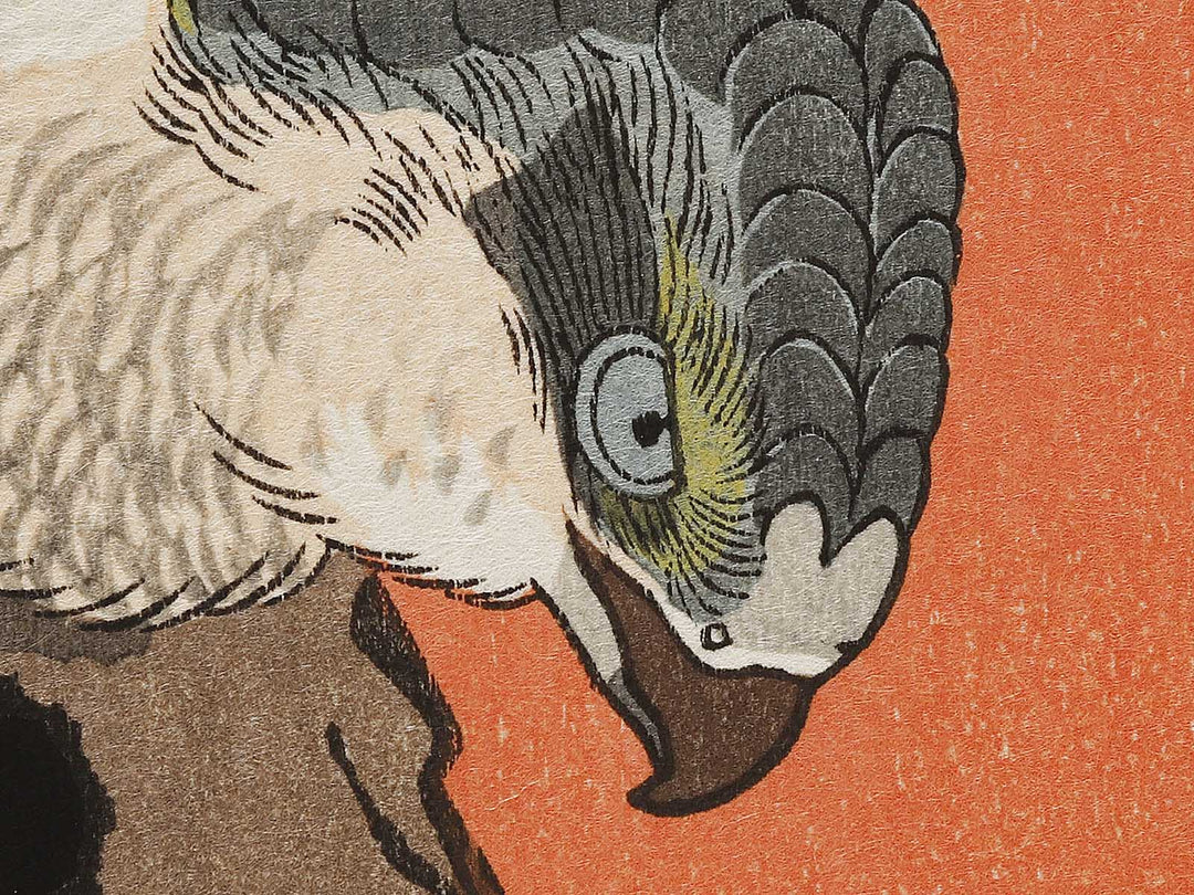 Hinode ni matsu ni taka by Utagawa Hiroshige, (Medium print size) / BJ328-195