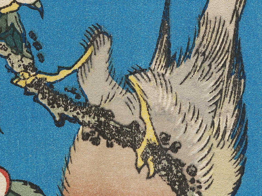 Weeping cherry blossoms against a dark indigo background, capturing the moment a Japanese bullfinch comes to peck at the blossoms. by Katsushika Hokusai, (Medium print size) / BJ321-643