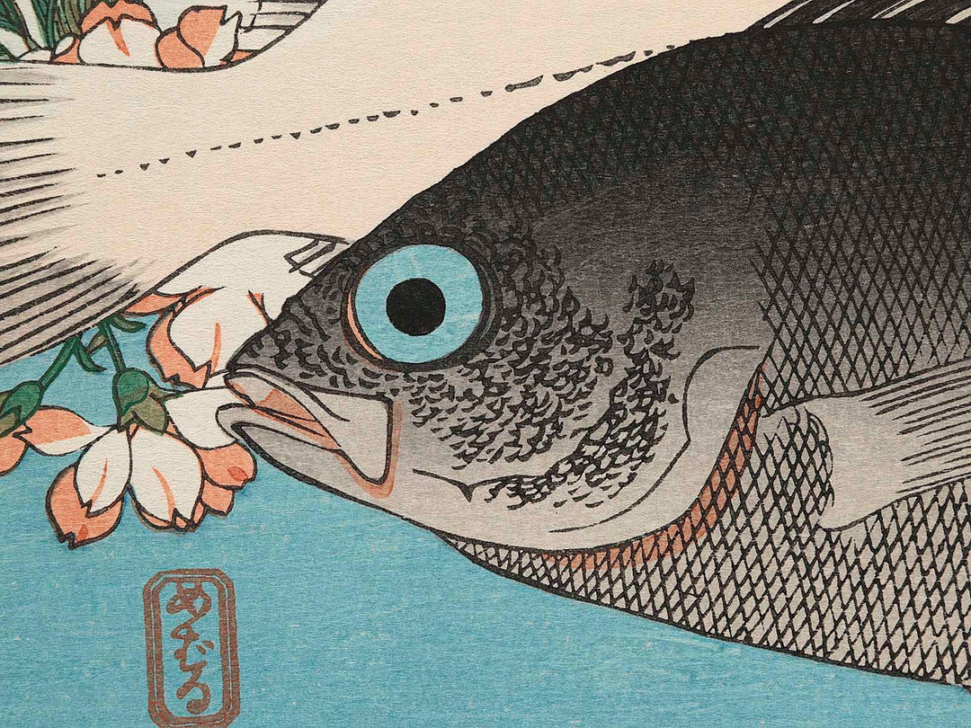 Halibut, Rockfish & Cherry Blossoms from the series the series FISH by Utagawa Hiroshige, (Large print size) / BJ237-664