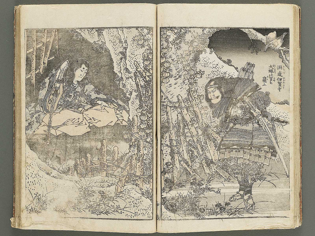 Hokusai gafu (Chu) by Katsushika Hokusai / BJ353-115