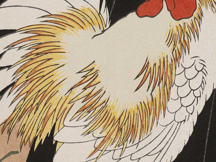 Morning Glories and Japanese Bantam by Utagawa Hiroshige, (Medium print size) / BJ309-288