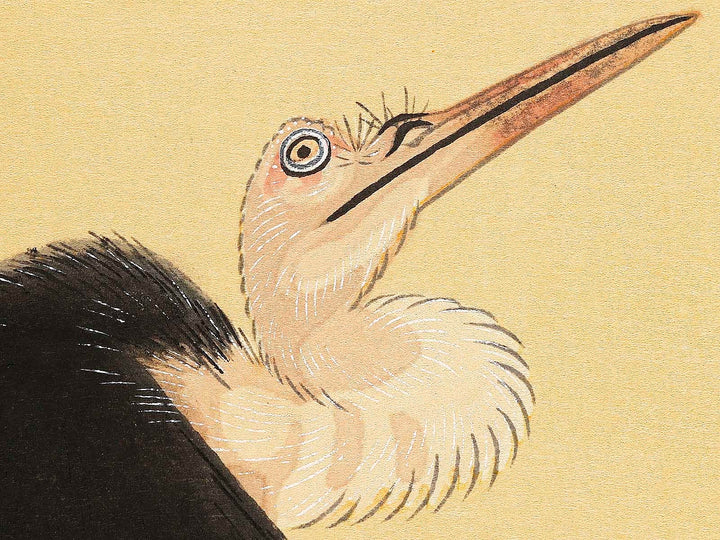 Konotori by Katsushika Hokusai, (Medium print size) / BJ319-634