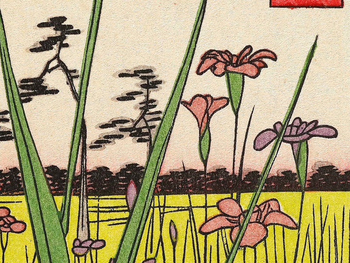 Horikiri Iris Garden from the series One Hundred Famous Views of Edo by Utagawa Hiroshige, (Large print size) / BJ328-370