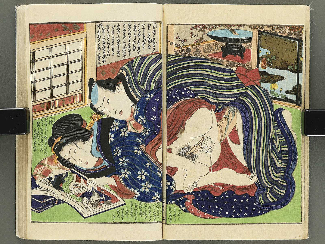 Hana no nemuri shiki monogatari by Insuitei Shozan / BJ355-096