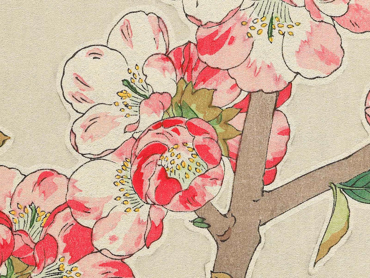 Boke by Kawarazaki Shodo, (Large print size) / BJ346-255