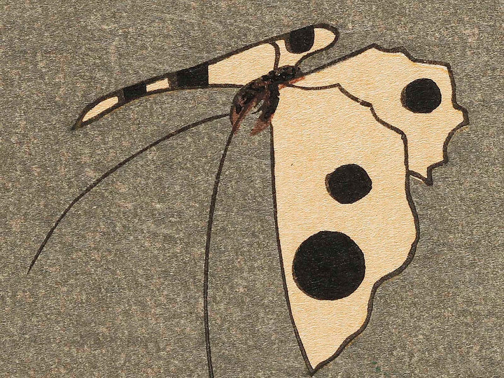 Kiku ni cho by Utagawa Hiroshige, (Large print size) / BJ323-281