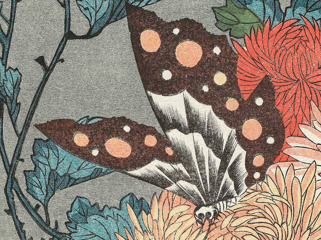Kiku ni cho by Utagawa Hiroshige, (Large print size) / BJ339-248