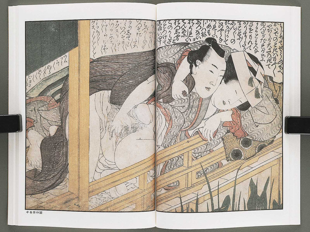 Ezoshi Tamakazura Volume 12 by Katsushika Hokusai / BJ346-486