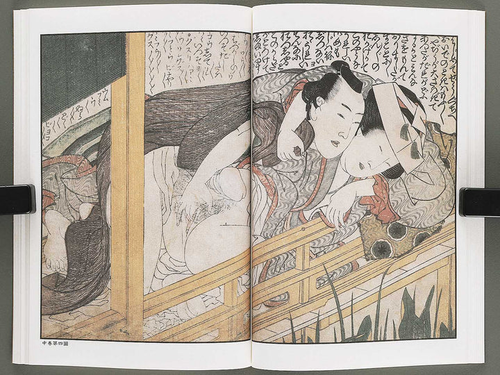 Ezoshi Tamakazura Volume 12 by Katsushika Hokusai / BJ346-486