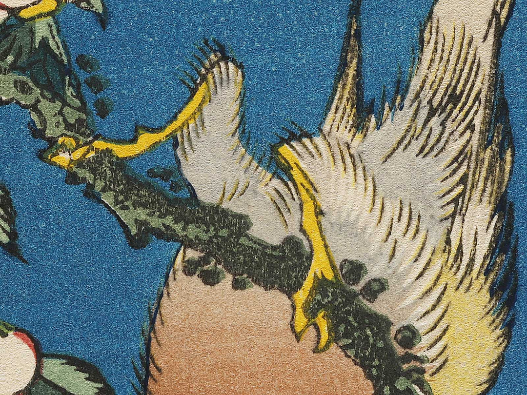 Weeping cherry blossoms against a dark indigo background, capturing the moment a Japanese bullfinch comes to peck at the blossoms. by Katsushika Hokusai, (Medium print size) / BJ323-708