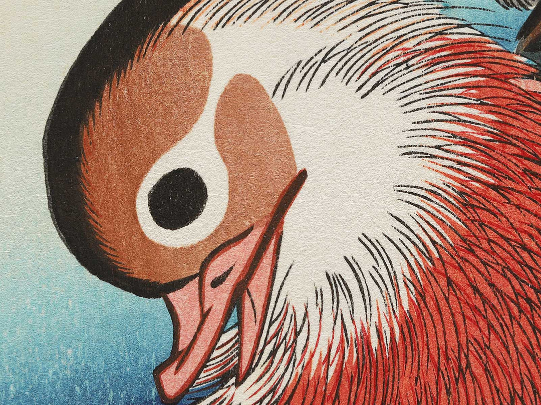 Mandarin duck  by Utagawa Hiroshige, (Medium print size) / BJ304-591