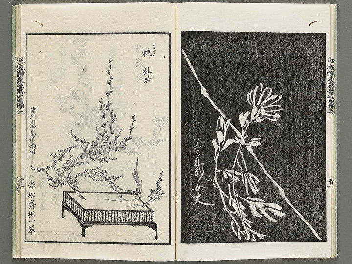 Shofu soka koromo no ka Part 3, Book 3 by Tawaraya Sori / BJ333-851